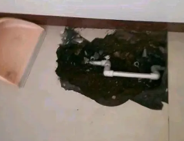 南华卫生间测漏水多少钱